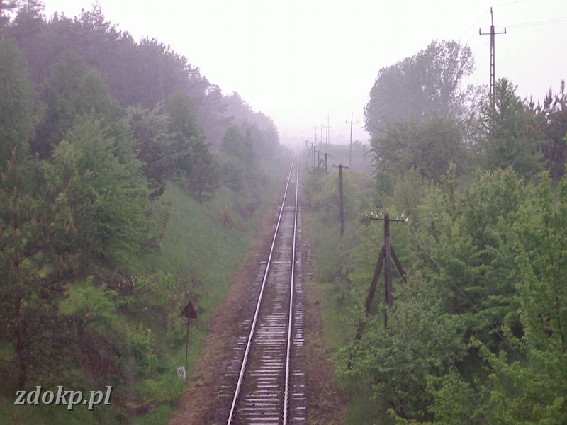 2005-05-23.133 stawiany-slawa widok w str. slawy.jpg - linia Gniezno Winiary -Sawa Wlkp.- widok z nieczynnego wiaduktu w kierunku Sawy Wlkp, 35.8 km